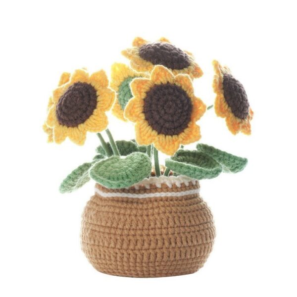 sunFlower Crochet Kits for Beginners