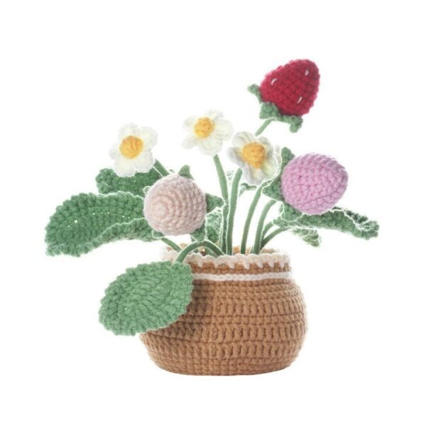strawberry plant Crochet Kits for Beginners
