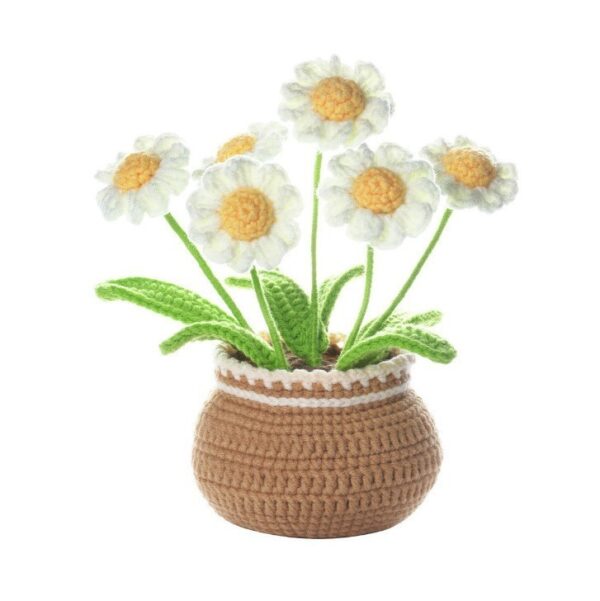 daisy Crochet Kits for Beginners floral