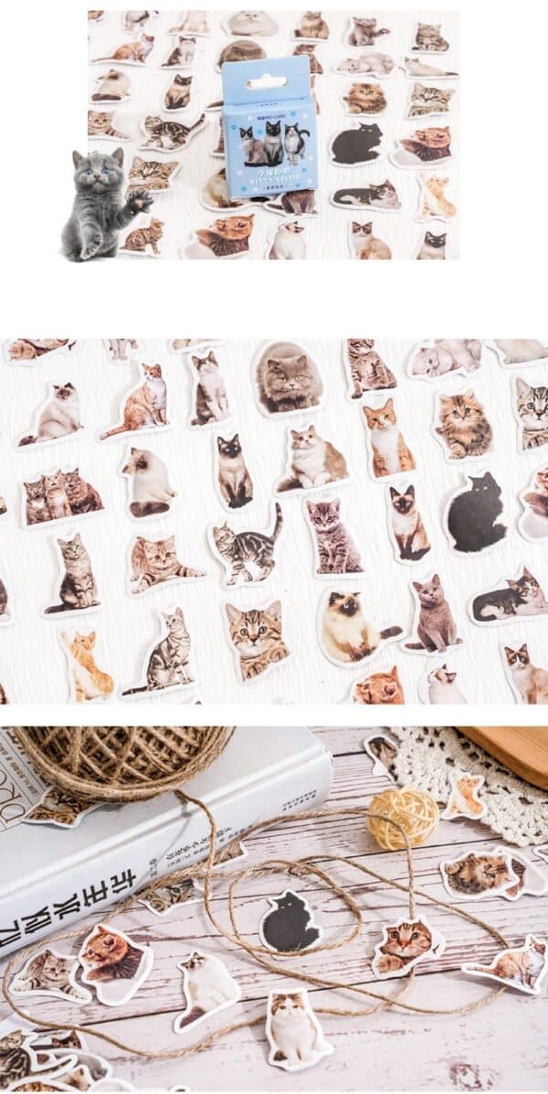 Cute Kitten Stickers pack cute Realistic Cat Stickers pack set 48Pcs
