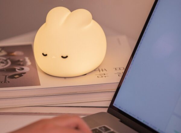 USB Cute Rabbit Silicone Lamp for the Night