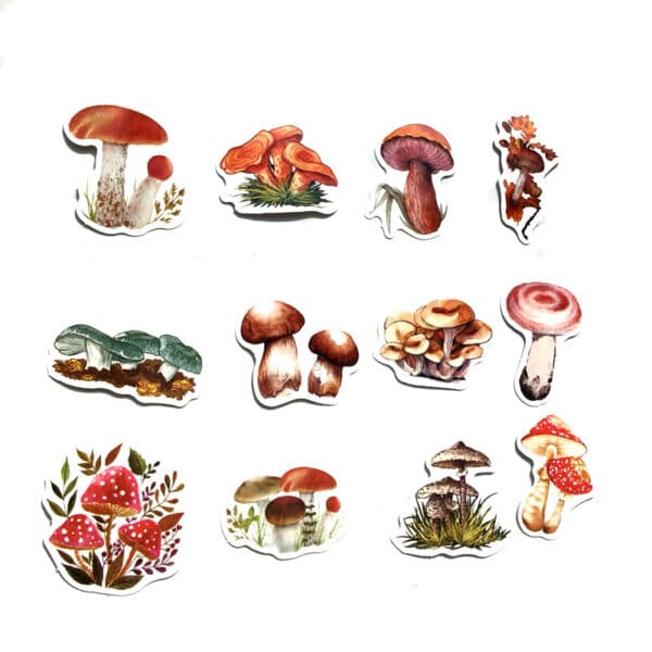 Various Types of Mushroom Stickers 40Pcs | Cute Waterproof