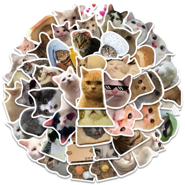 Funny Cat Meme Stickers 50Pcs BIG Pack