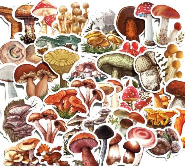 Various Types of Mushroom Stickers 40Pcs | Cute Waterproof