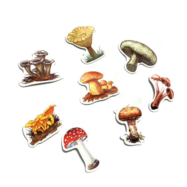 Various Types of Mushroom Stickers 40Pcs | Cute Waterproof