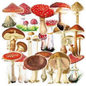 Mycology Stickers Set 40Pcs